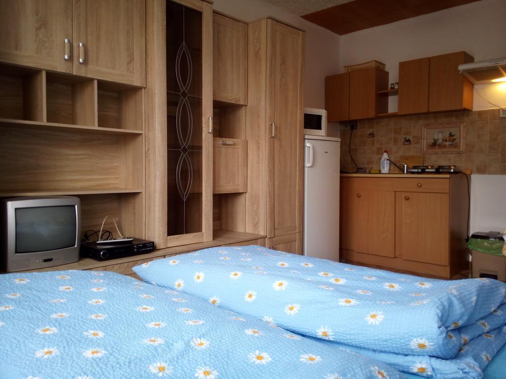 Appartamento U Janecku Teplice nad Metují Esterno foto